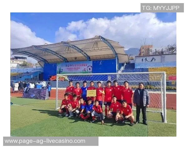 足球冠军感言：拼搏与团结铸就辉煌时刻的心声与感悟