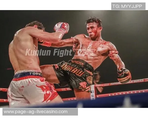 一龙与播求再度交锋二番战精彩对决引发拳迷热议与期待